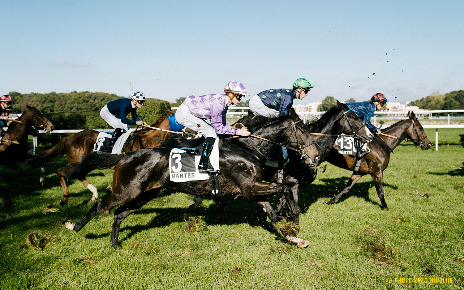 Feuille De Cheval Rambo Hippique Grand Prix, Taille 63, Noir, Légère – Neuve