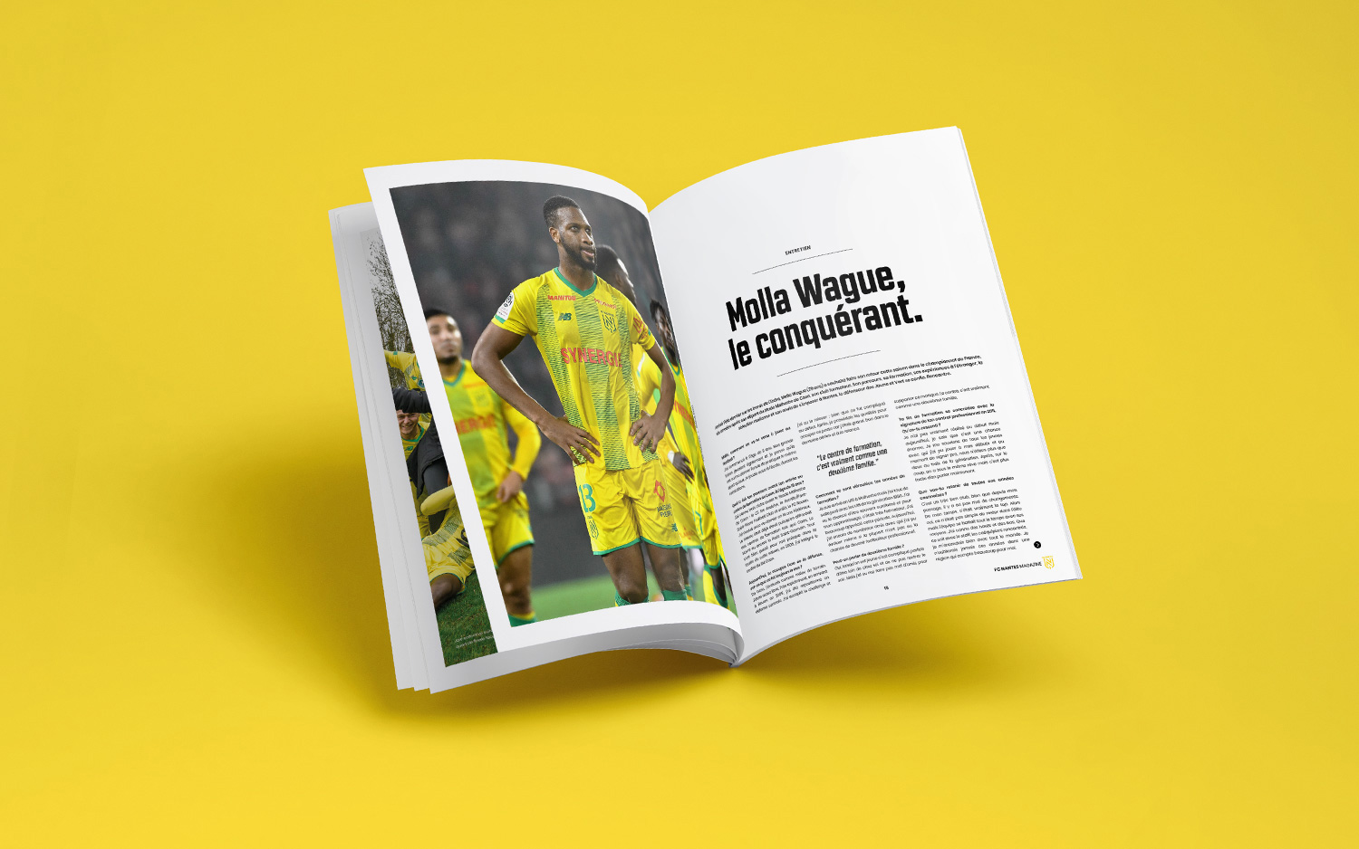 FC Nantes | FC Nantes Übersicht
