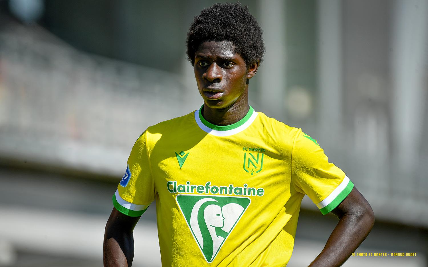 Artistic Fc Nantes : Enfin De Bonnes Nouvelles, Et Même Un Record ! Photo Illustration Artistic Fc Nantes : Enfin De Bonnes Nouvelles, Et Même Un Record ! Photo Illustration