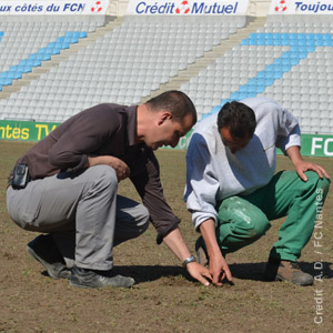 Travaux Pelouse Stade de la Beaujoire