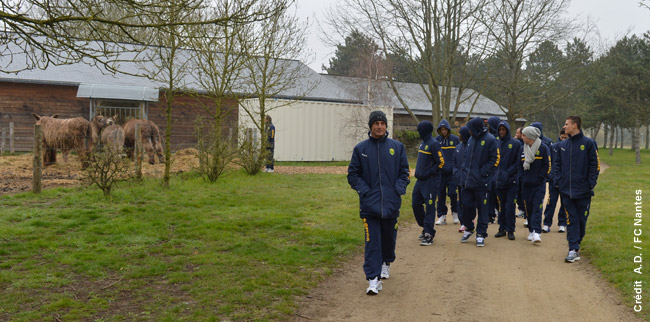 ANGERS SCO - FC Nantes